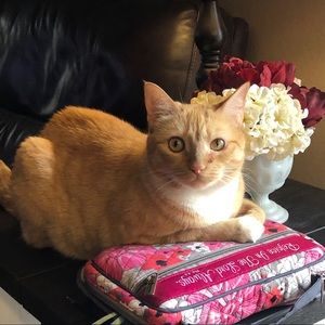 Meet your Posher, Darla